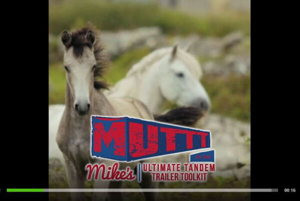 The Mutt Video Advertisement Screenshot