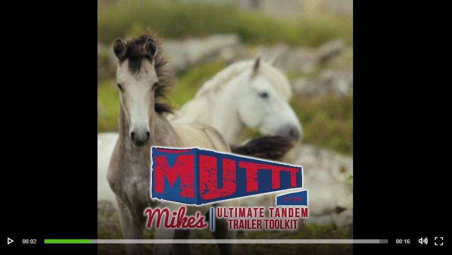 The Mutt Video Advertisement Screenshot