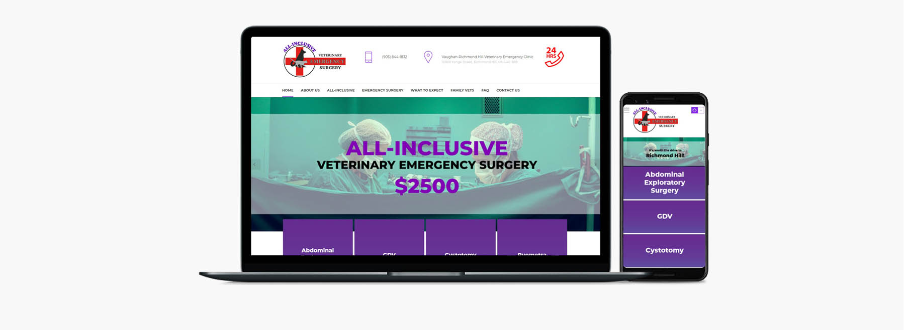All Inclusive Veterinary Emergency Surgery Website Portfolio Panel