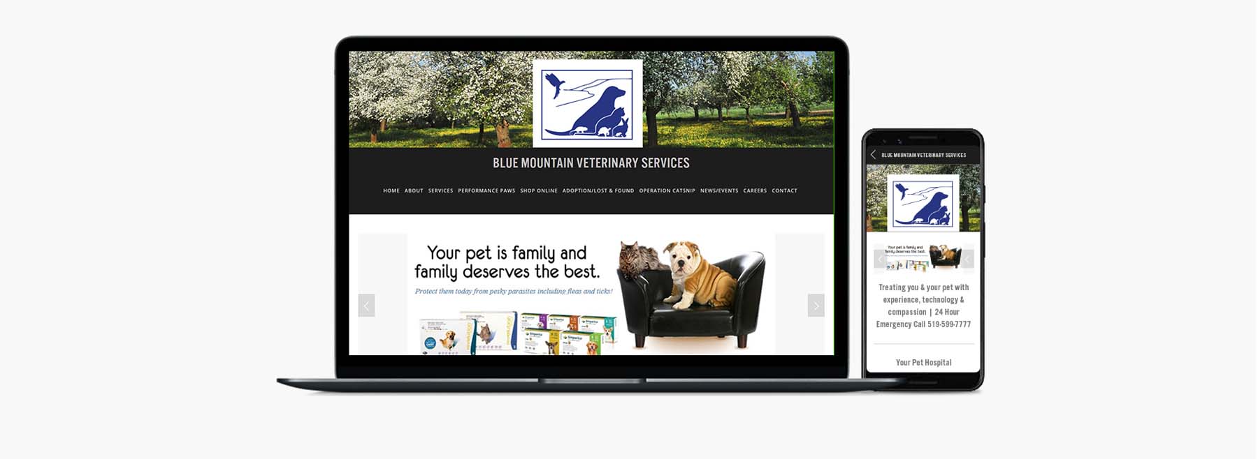 Blue Mountain Vet Website Portfolio Panel