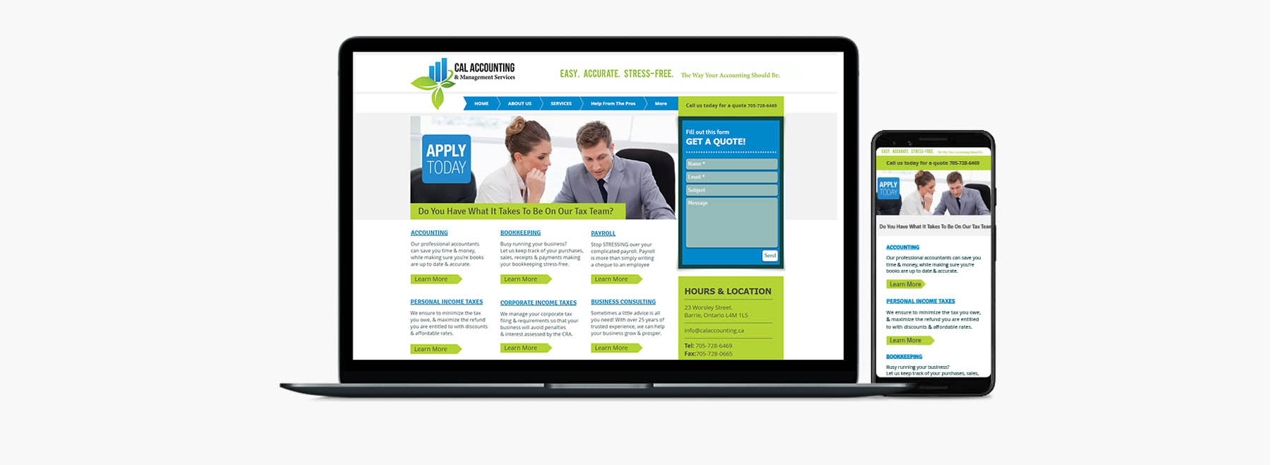 Cal Accounting Website Portfolio Panel