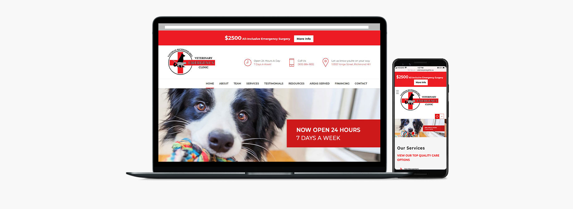 Emergency Vet Clinic Website Design