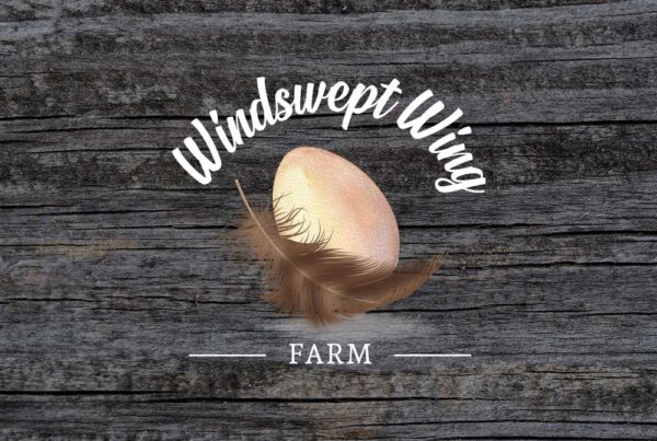 Windswept Farm Logo Branding