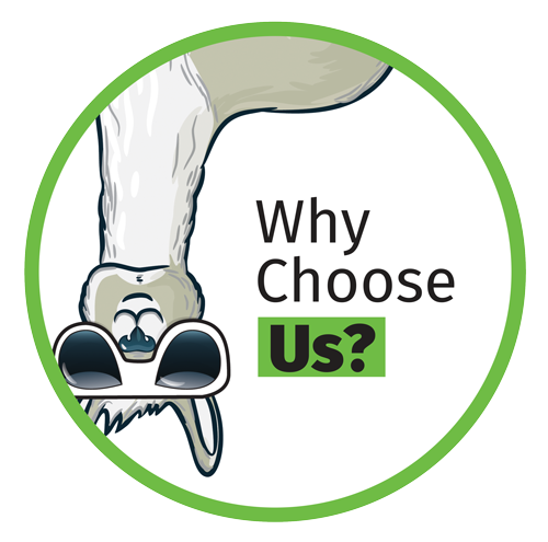 Why choose us?