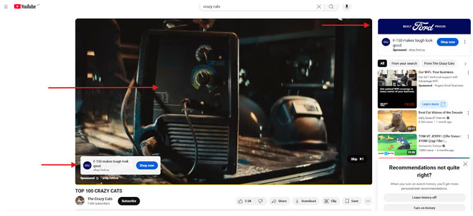 Examples of Google ads that show on YouTube videos as a banner and/or video.